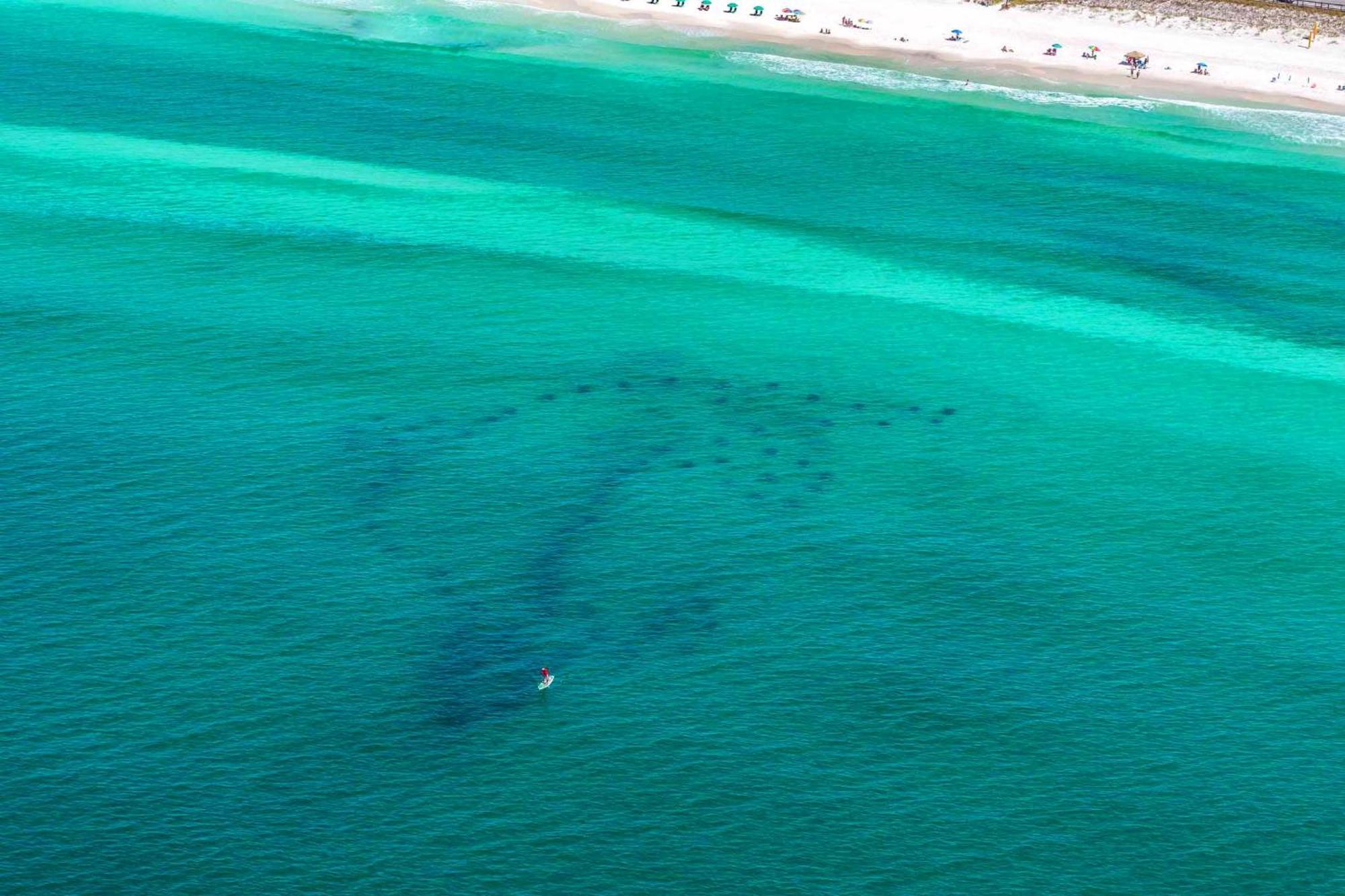 Ariel Dunes I 1307 Destin Exterior photo